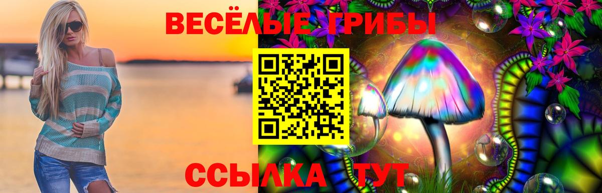 Галлюциногенные грибы Psilocybe Мурино