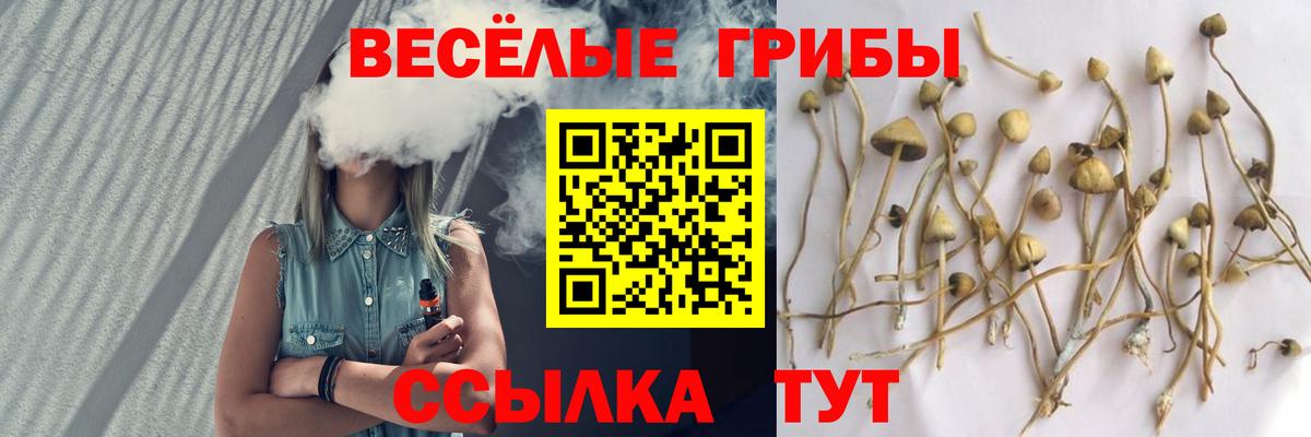Мурино  Псилоцибиновые грибы MAGIC MUSHROOMS  Вход с VPN 
