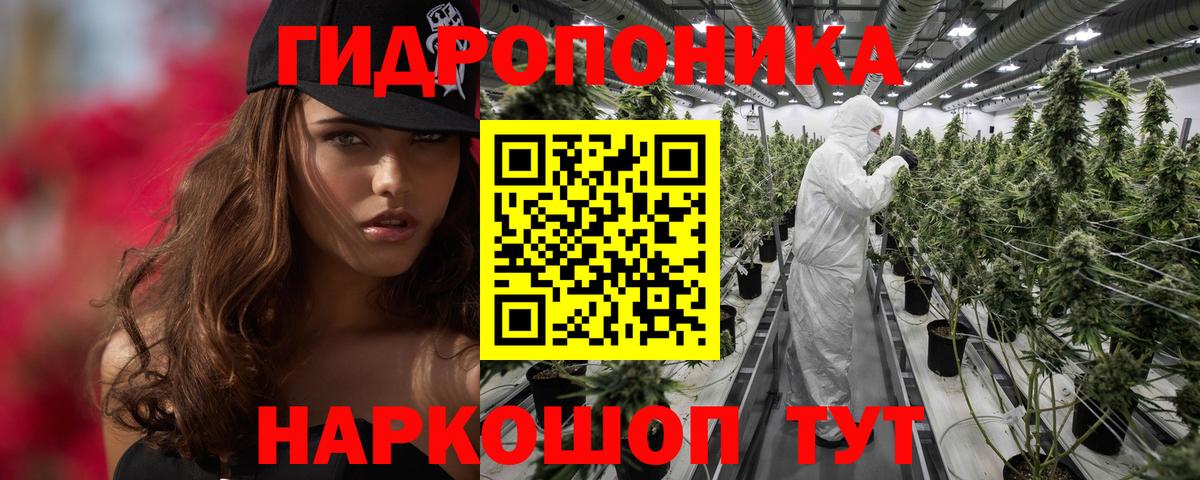 Шишки марихуана план  Бошки марихуана марихуана  Мурино  Вход с VPN 